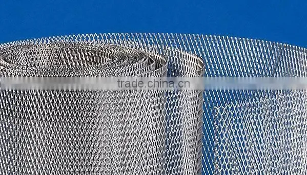 2016hot Sale! Stainless Steel Expanded Metal Mesh photo-3