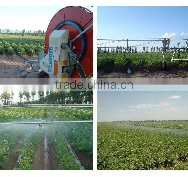 Hose Reel Irigator photo-4