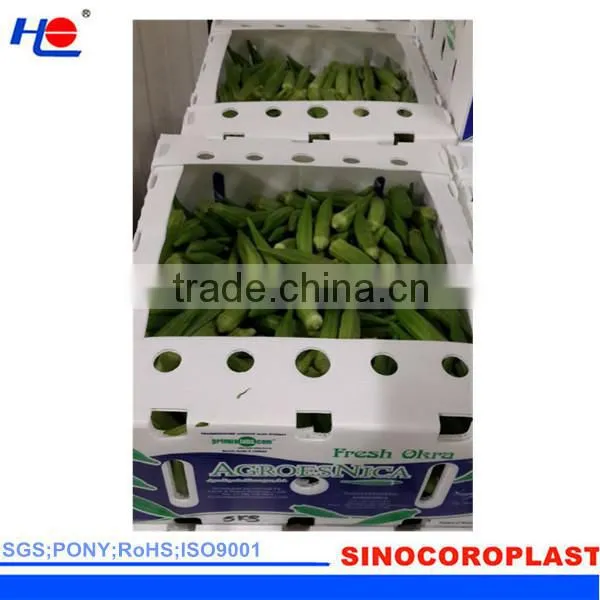 PP Vegetables Crates photo-4
