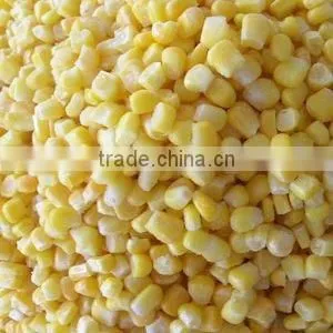 Yellow Corn Grade 2