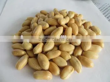 150/185g/227g Fried Peanut in Bags/canned From China ,best Price photo-3