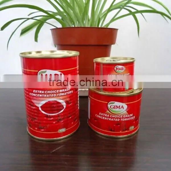 Canned Tomato Sauce Factory