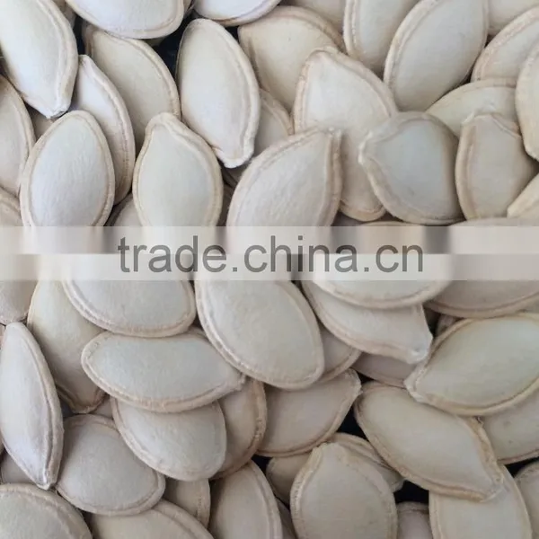 Inner Mongolia Shine Skin Pumpkin Seeds in Shell photo-2