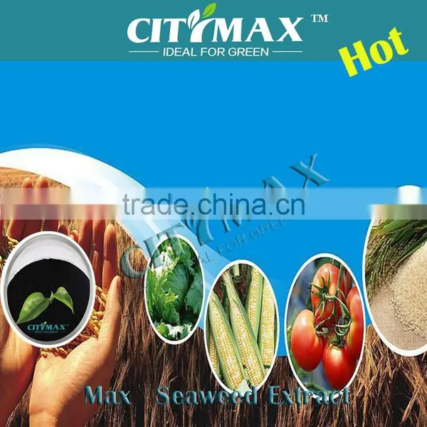 MAX Seaweed Extract for Sale
