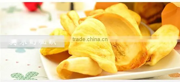 Hot Selling Paypaya Drying Oven/paypaya Dryer Machine With Good Price photo-6