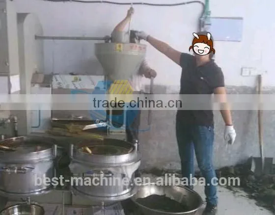 8TPD Automatic Mini Cooking Sunflower Seeds Oil Makeing Machine photo-6
