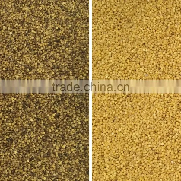 New System Full-color CCD Mustard Seeds Color Sorter photo-2