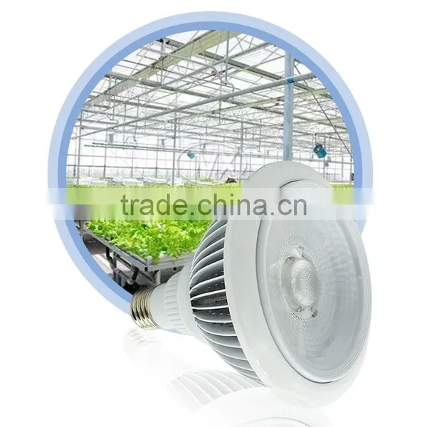 Tomato Veg And Bloom Grow Lamps Led Panel photo-4