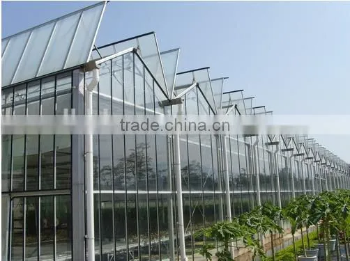 Large Commercial Glass Greenhouseglass/ Agricultural Greenhouses/Glass Venlo Greenhouse photo-2