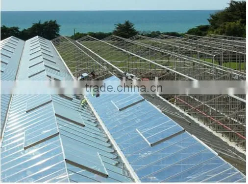 Large Commercial Glass Greenhouseglass/ Agricultural Greenhouses/Glass Venlo Greenhouse photo-3