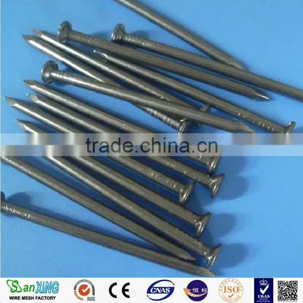 Polished Common Nail Wood Common Nail