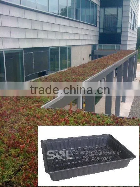2014 Roof Greening on Building Vertical Garden