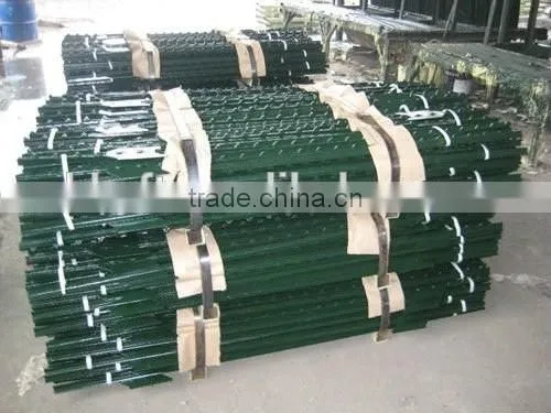 Studdened T-post and Y-post Painted 5 Feet 1.25lbs on Sale China Supplier photo-4