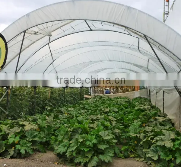 Greenhouse Structure Pole Ancher Stake in Horn Shape photo-5