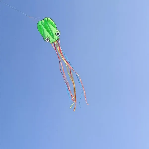 OEM All Shapes, Design and Kinds of Kites for Advertising and Activities Occasions