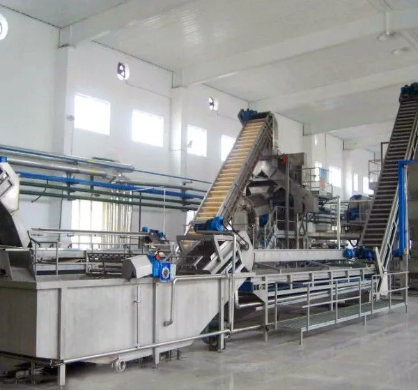 Canned Tomato Paste Processing Plant / Tomato Jam Production Line photo-4