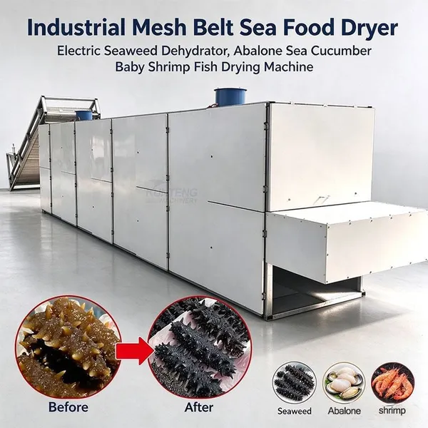 Industrial Mesh Belt Sea Food Dryer Electric Seaweed Dehydrator Abalone Sea Cucumber Baby Shrimp Fish Drying Machine