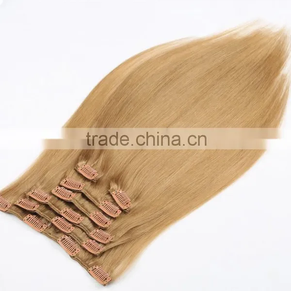 Ombre Human Hair Extensions, Remy Clip in Human Hair Extensions photo-4