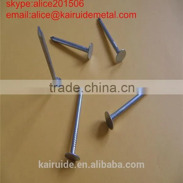 Common Nail/iron Nail Factory photo-4