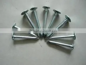 eg Coil Roofing Nails