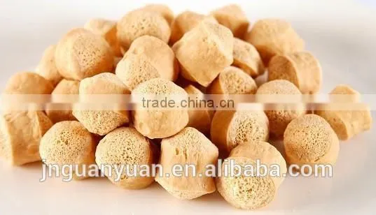 CE Certificated Best Extruder About Textured Soy Protein Making Machine photo-5