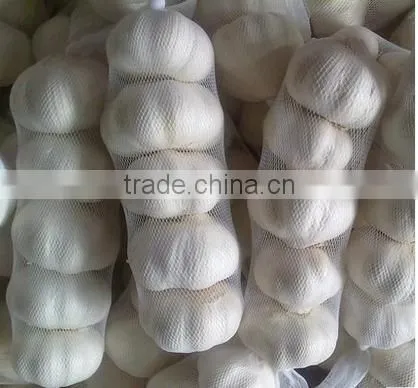2016 NEW CROP GARLIC photo-5