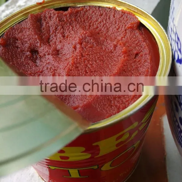 Double Concentrated Canned Tomato Paste With Best Quality photo-2