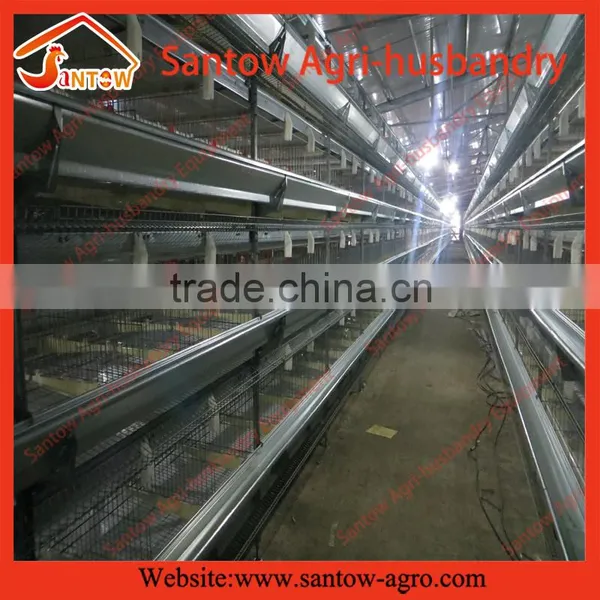 How to Build Stable Steel Structure Battery Cages for Chickens