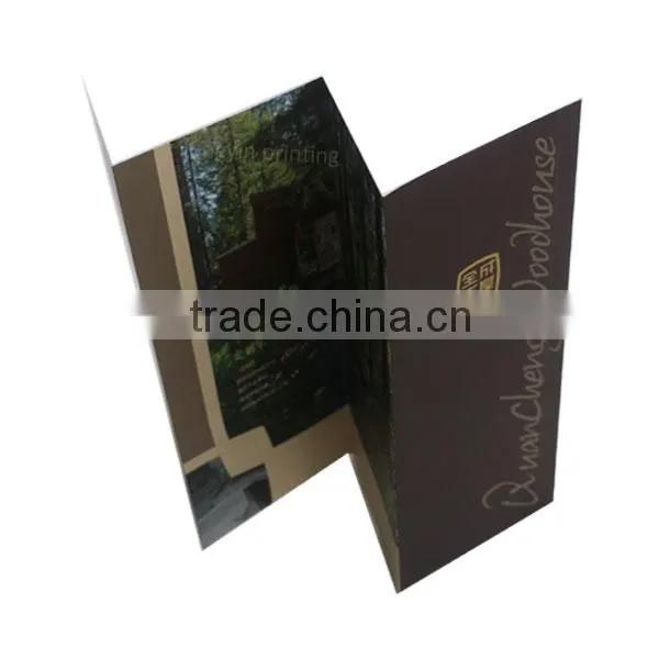 Glossy Paper Brochure, Folder, Leaflet, Flyer Printing in Shenzhen Quality Choice photo-4