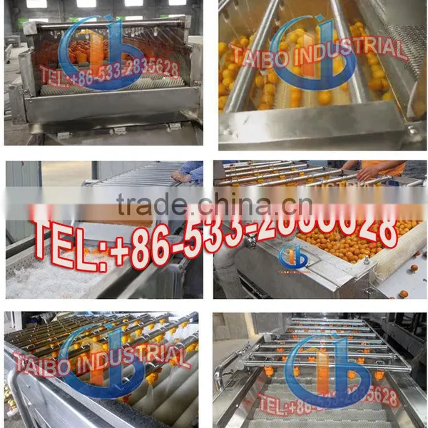 Air Bubble Fruit and Vegetable Washer / Orange Washing Machine photo-4