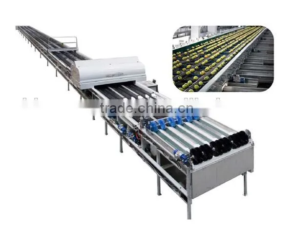 Online Cleaning and Automatic Sorting Machine for Cherry Tomato Fruit photo-6