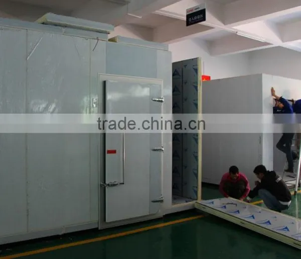 High Performance Solid Construction Walk in Climatic Test Chamber photo-4
