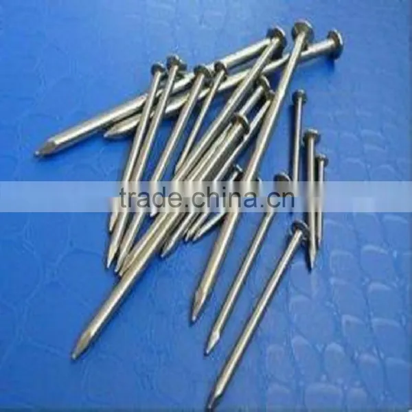 REAL FACTORY Common Iron Nails With Best Quality photo-4