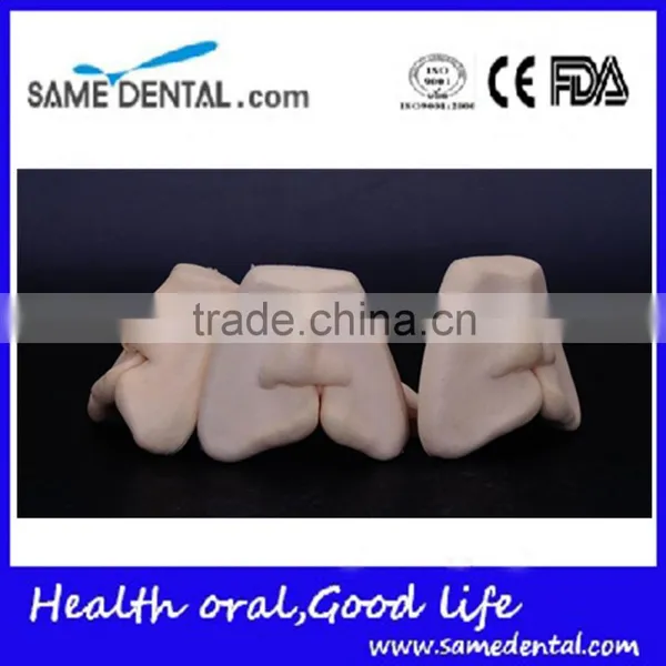 Dental Cleft Lip Suture Models DEA-33 photo-2