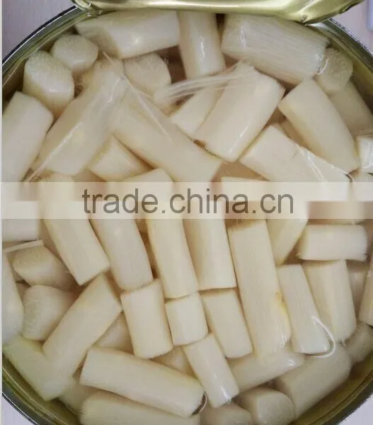 Chinese Hot Selling Fresh Canned Asparagus, Fresh Asparagus Prices photo-4