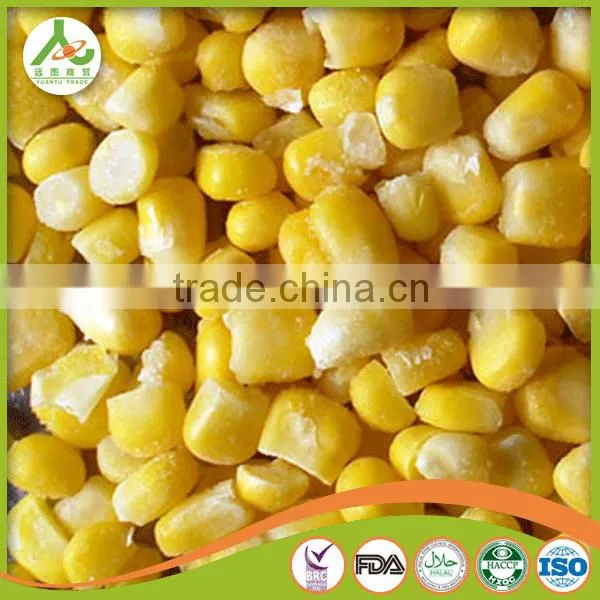 Frozen Canned Sweet Corn photo-5