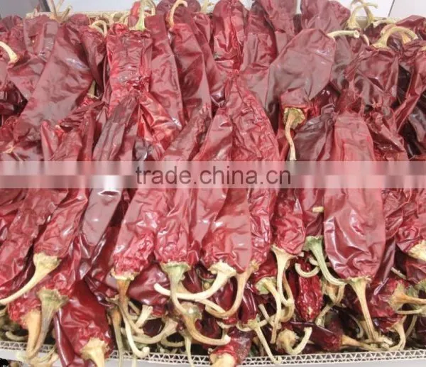 Paprika Prices photo-6