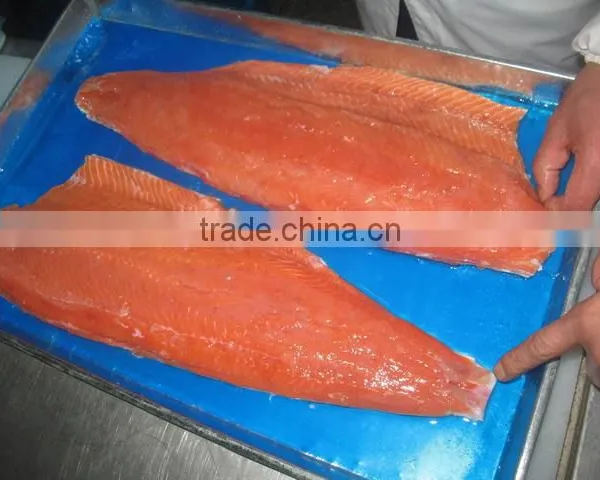 Frozen Chum Salmon Fillet Gutted Fish