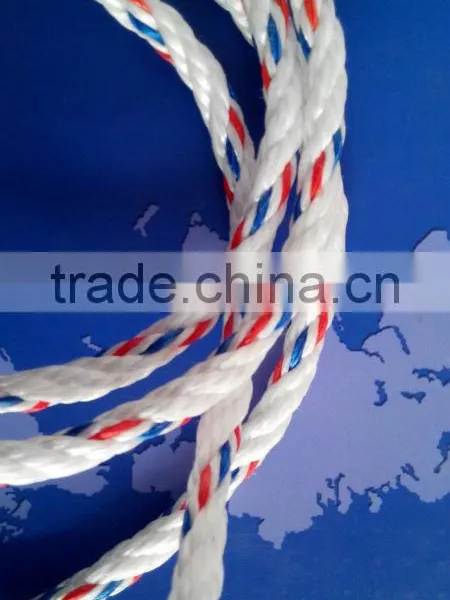 Supplier Danline Rope pp Material in Stock photo-2