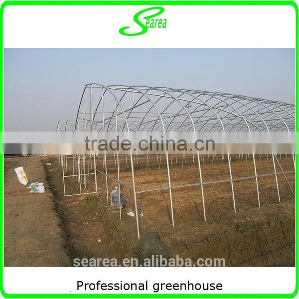 Durable Galvanized Steel Frame Greenhouse Agricultural Greenhouse photo-3