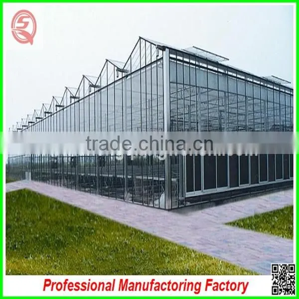 Durable Aluminium Profiles Venlo Polycarbonate Green House With High Quality and Best Service photo-4