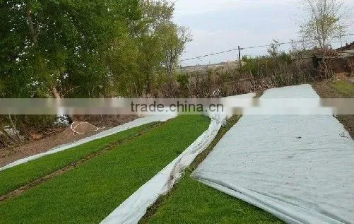 PP NON WOVEN AGRICULTURE CLOTH Also Widely Use photo-3