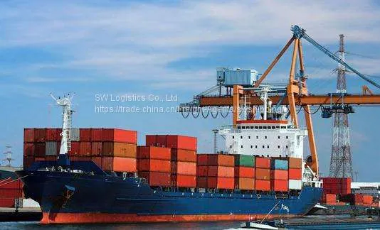 Custom Clearance Service, Import to China Service photo-3