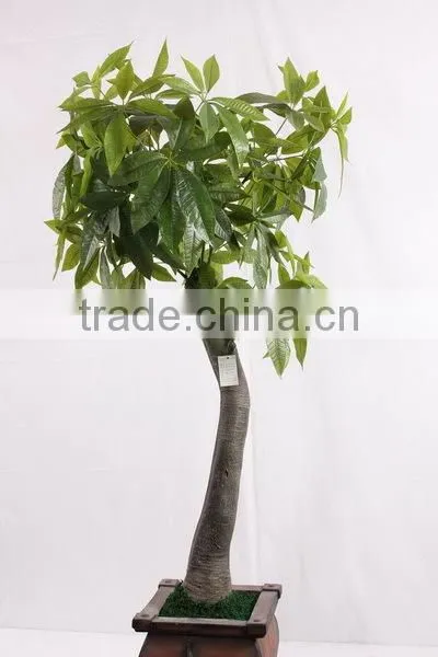 CHY030928 Potted Money Bonsai Tree/high Initation Fake Tree With Good Futurn photo-2