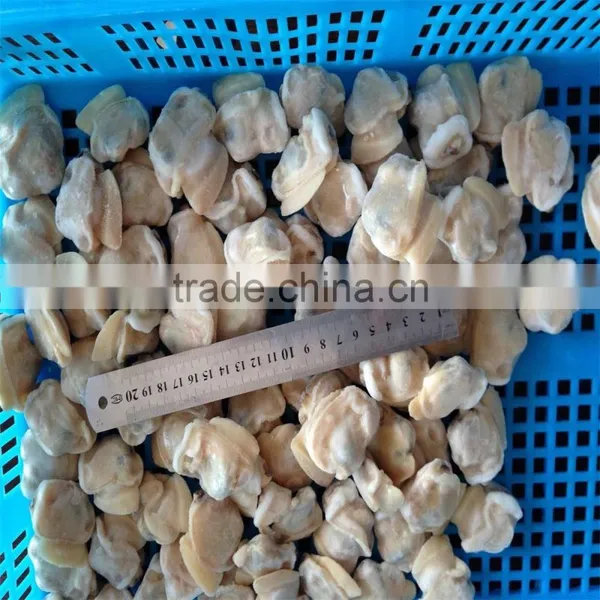 Frozen Boiled Short-necked Clam Meat