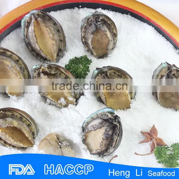 Fresh Frozen Green Abalone photo-3