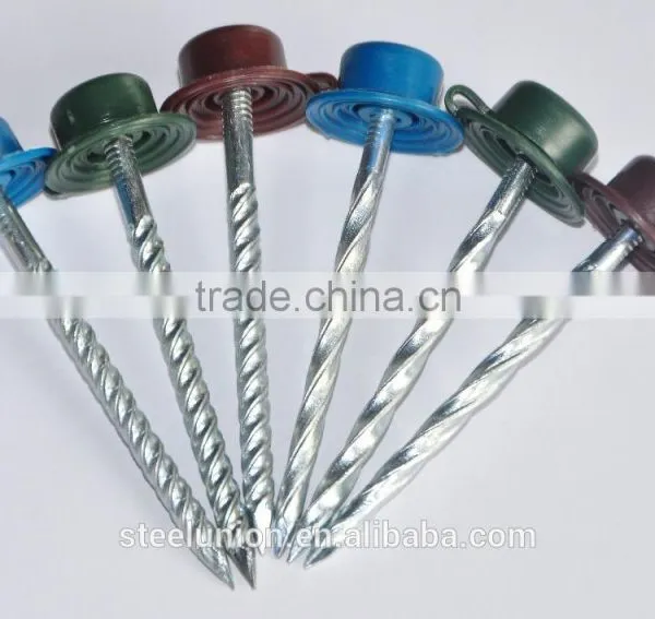 Twisted Nails With Plastic Head photo-6