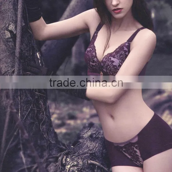 Lady Underwear and Panty New Design Push up Bra Sexy Lingerie Hot Style photo-3