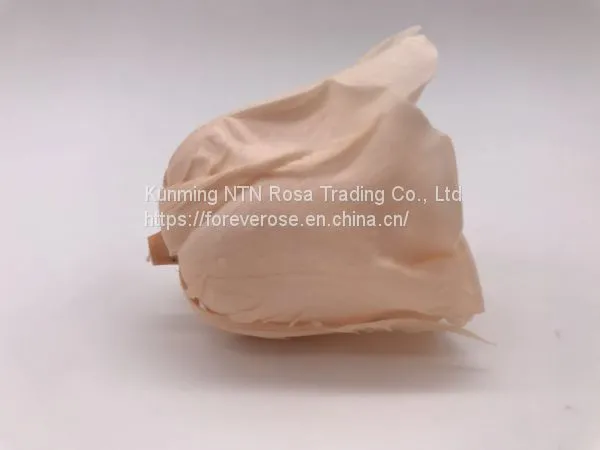 Preserved Flowers Wedding Bridal Bouquets Natural Eternal Roses photo-2