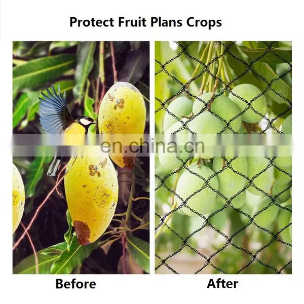 Agriculture HDPE Customized Anti Bird Net Garden Greenhouse Horticulture Plant Protection Cover Weaved photo-5